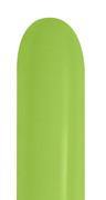 260 Betallatex Deluxe Key Lime  Nozzle Up-50 Count - tmyers.com